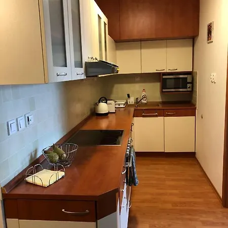 Apartment V Centre S Garazou