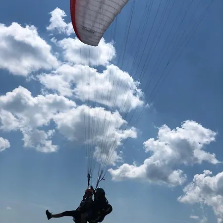 Olivia * 도노발리