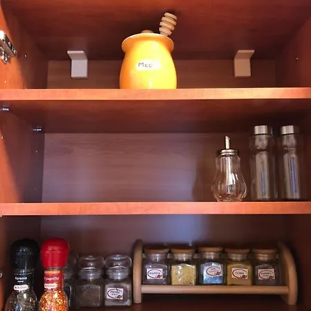 Olivia * 도노발리