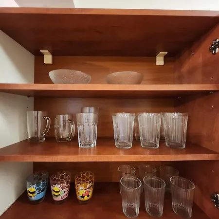 Olivia * 도노발리