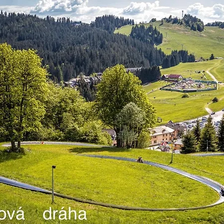 Olivia * 도노발리