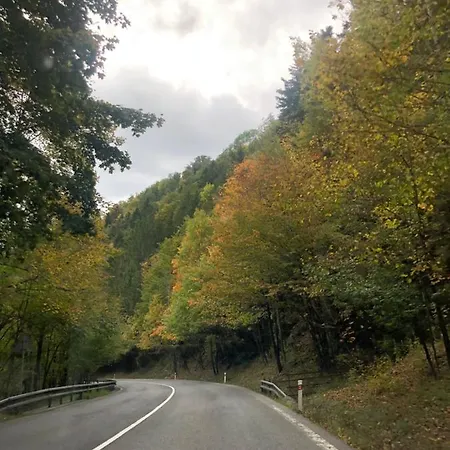 Olivia 아파트 도노발리