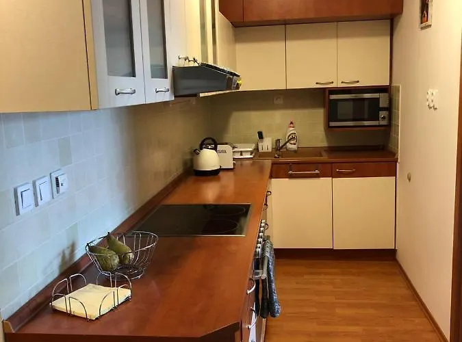 公寓 Apartman V Centre Donovaly S Garazou